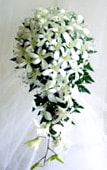 白の蘭の生花ブーケ